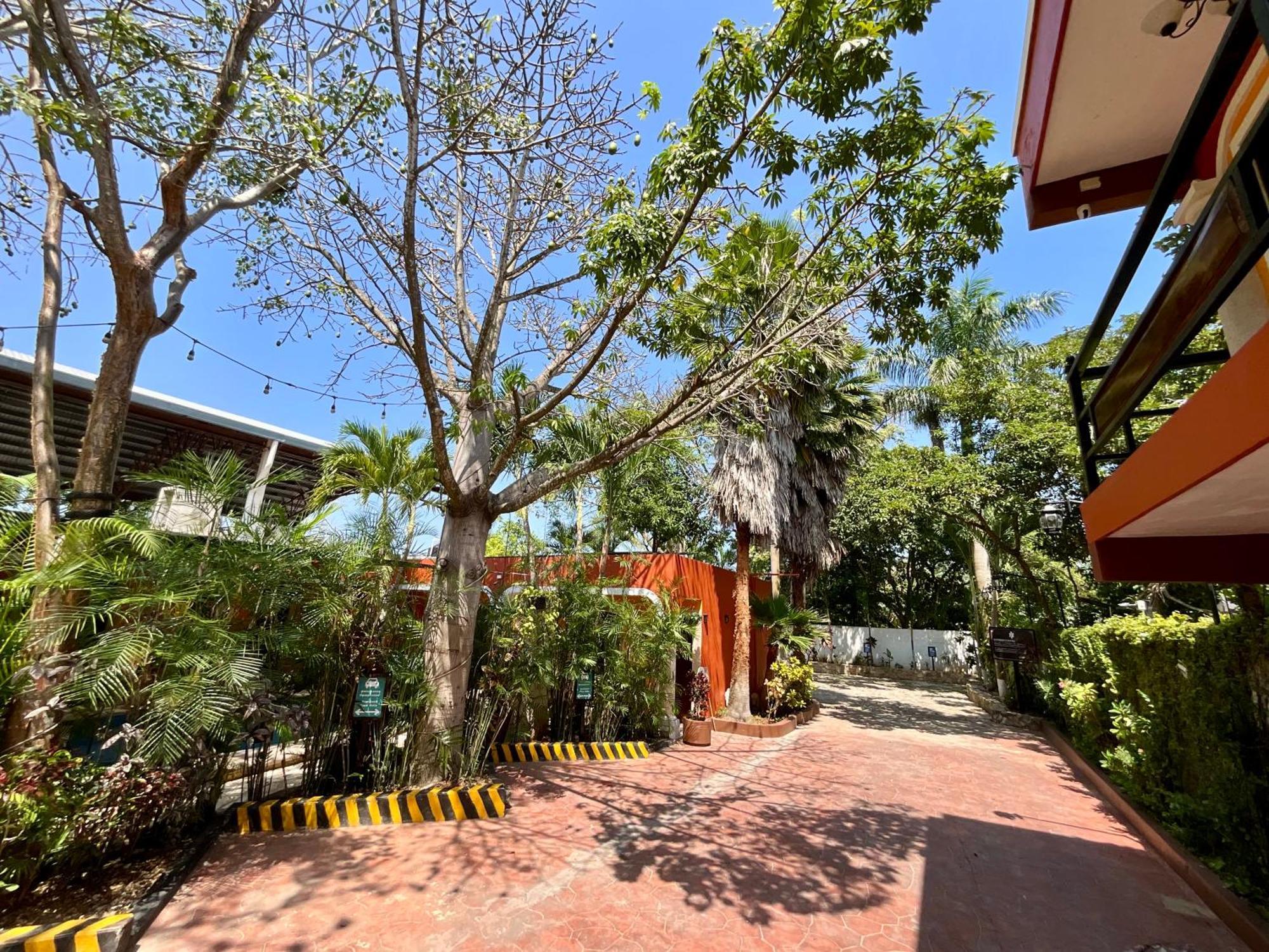 El Zaguan Colonial By Guruhotel Valladolid  Exterior photo